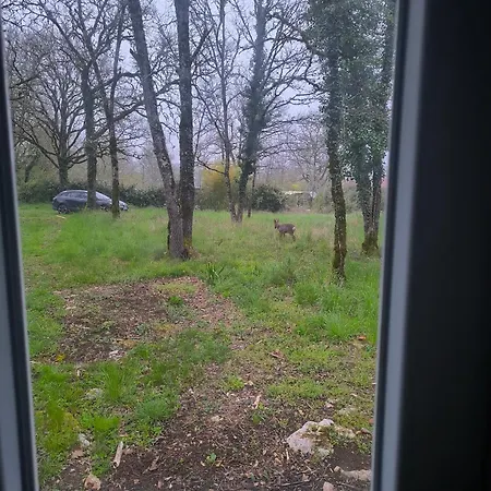 Le Refuge Des Bois De Morphee Vakantiehuis Escamps (Lot)