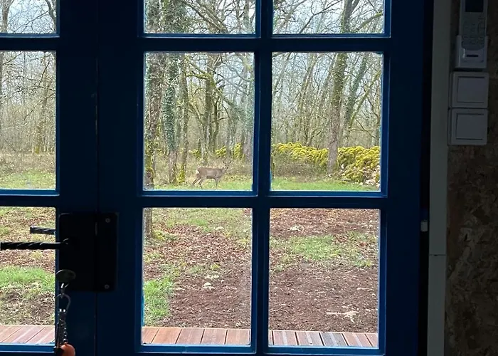 Le Refuge Des Bois De Morphee Ferienhaus *