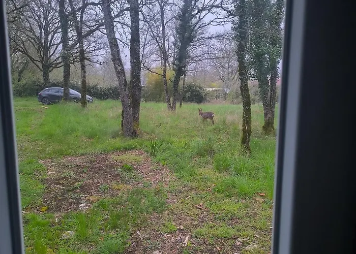 Le Refuge Des Bois De Morphee Ferienhaus Escamps (Lot)